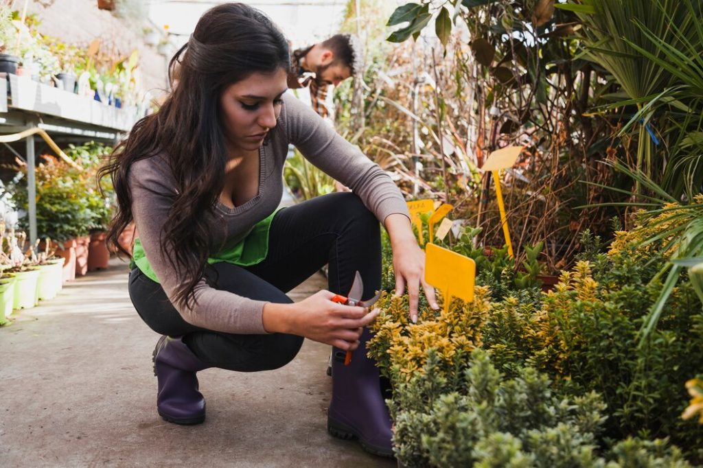 Plantar Fasciitis